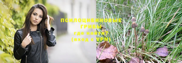 MDMA Пролетарск