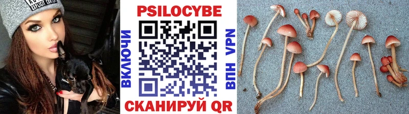 Галлюциногенные грибы Magic Shrooms  цена   Яблоновский 